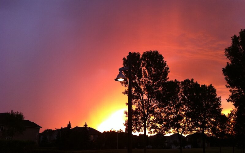 sunset over suburban park