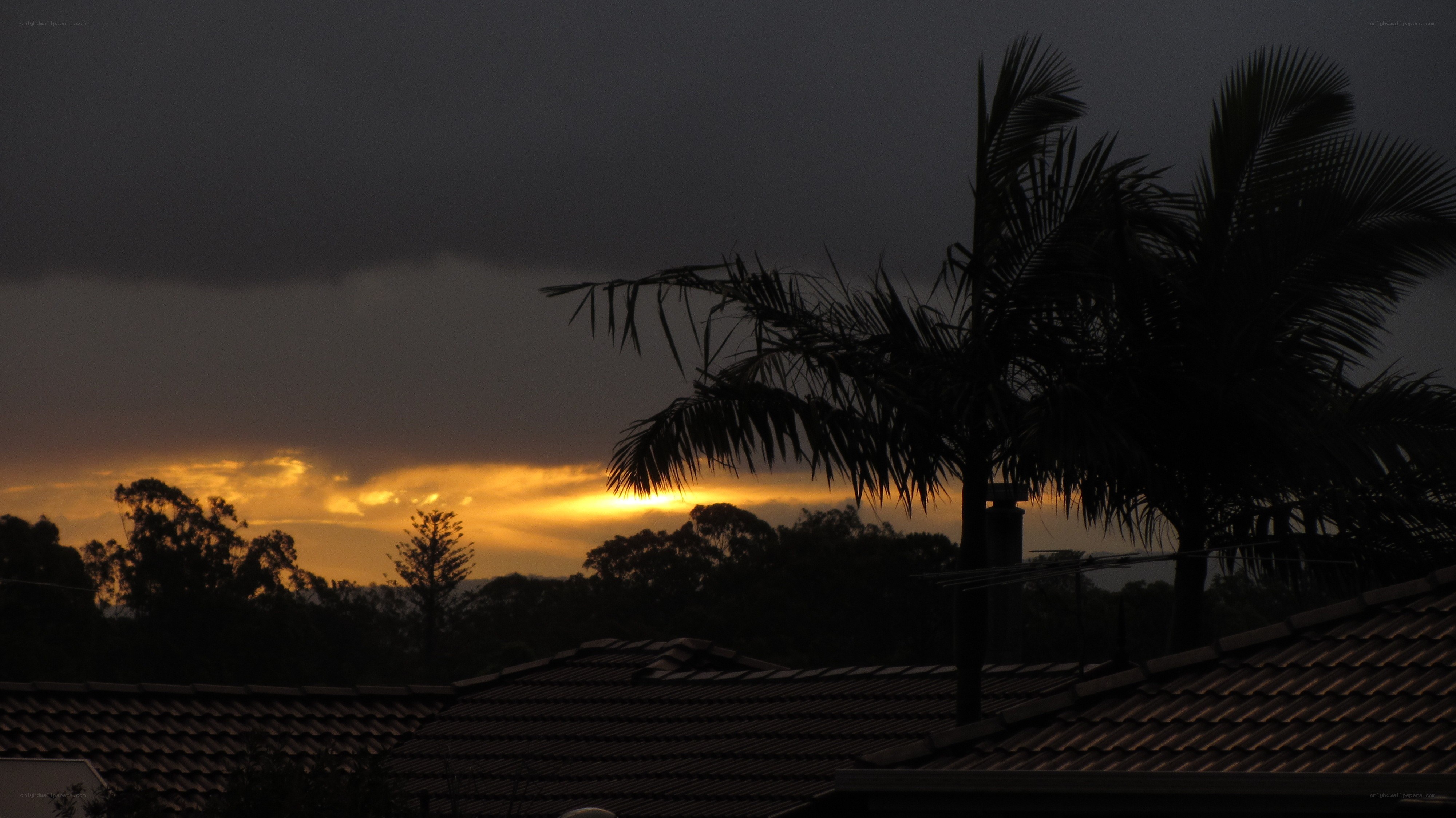 sunset over suburban rooftops