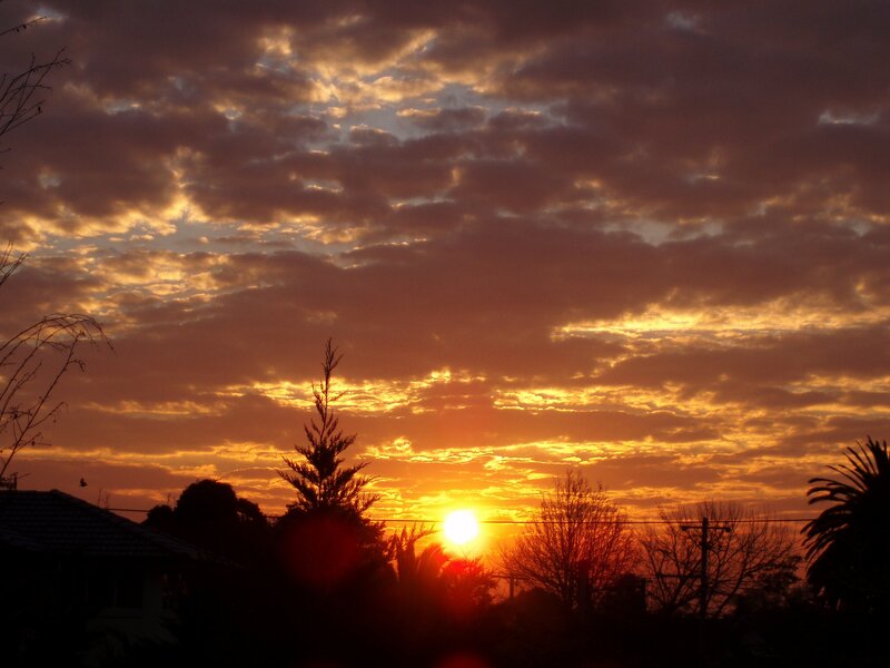 Sunset over Suburban Trees — Orange