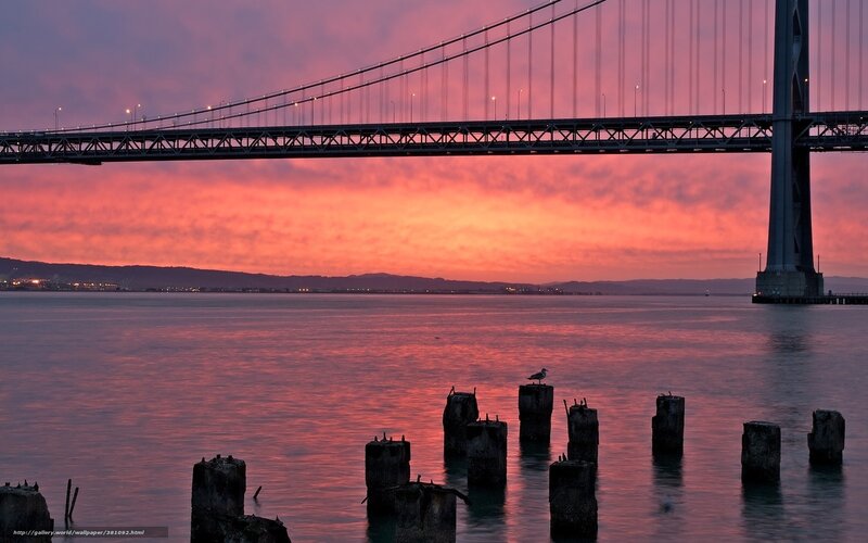 Sunset over Suspension Bridge — Pink