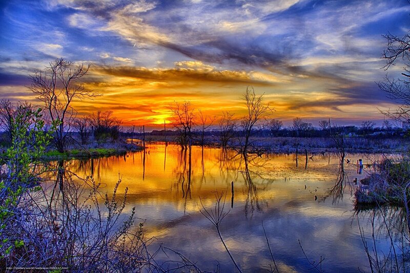 Sunset over Swamp — Orange