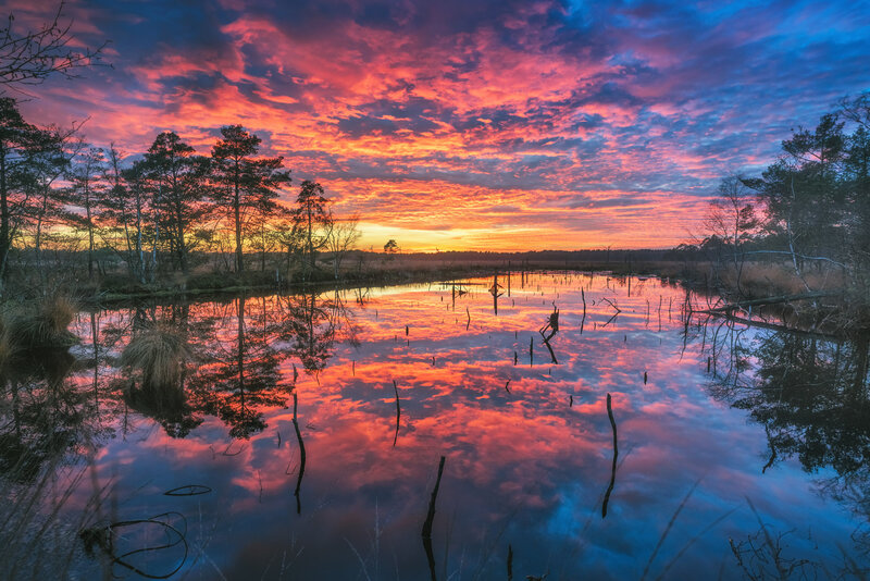 Sunset over Swamp — Red