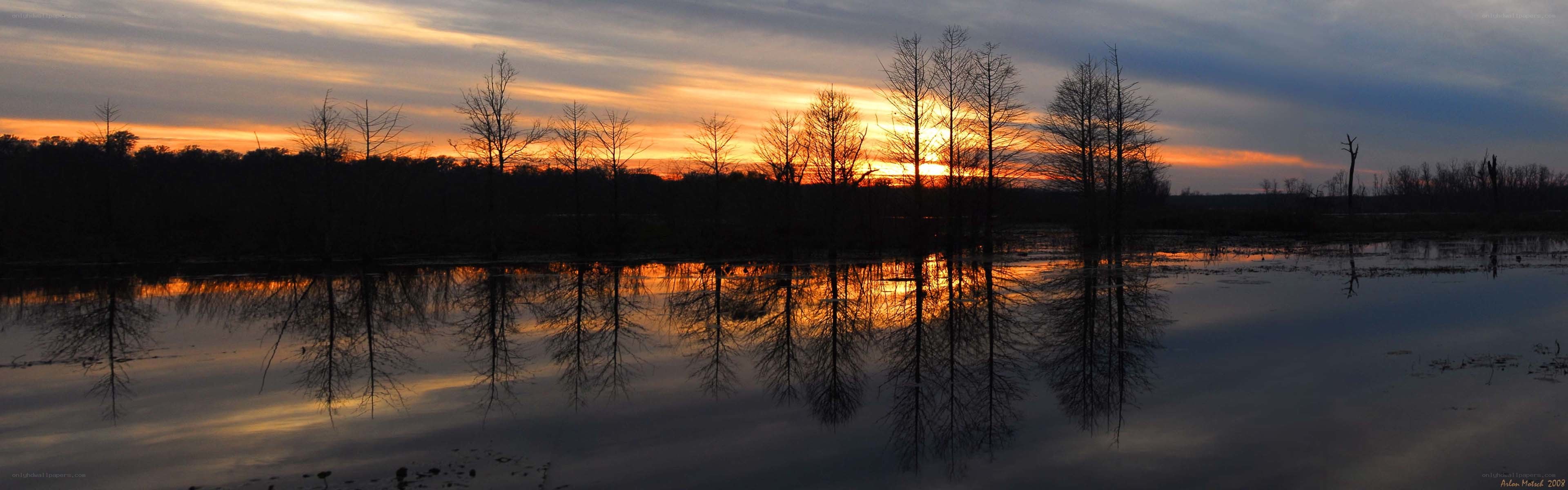 sunset over swamp trees