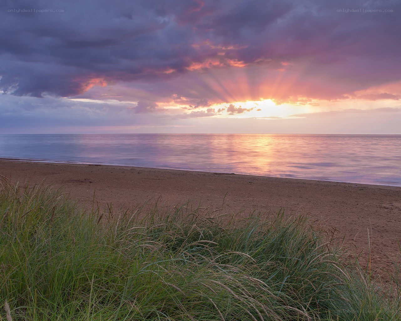 Sunset over the beach