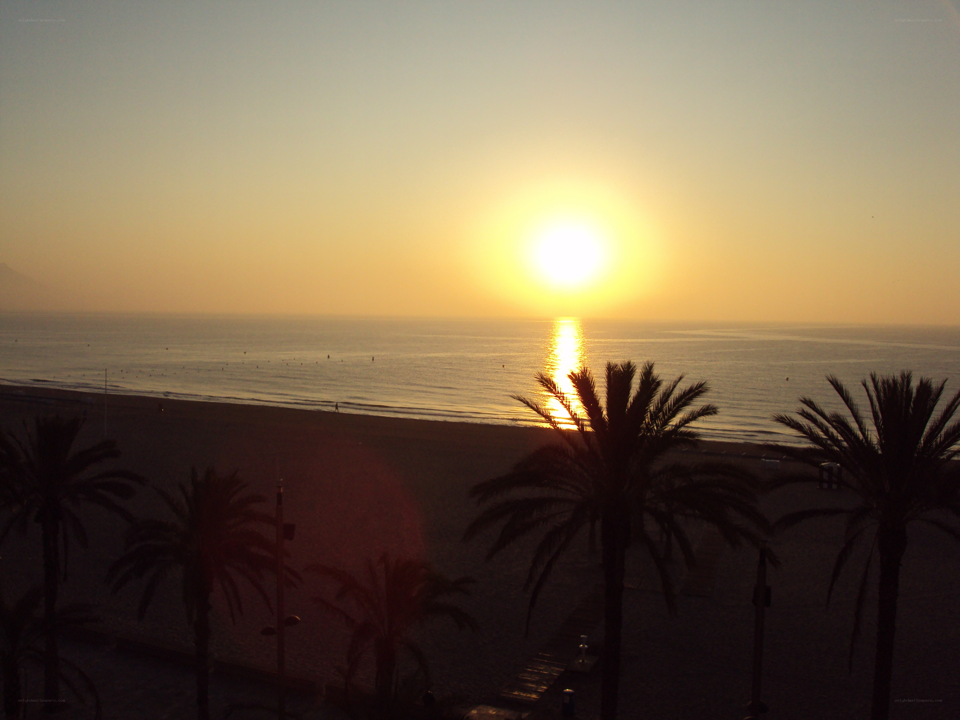 sunset over the beach