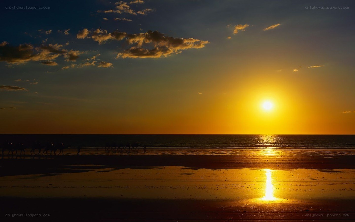Sunset over the beach with camels