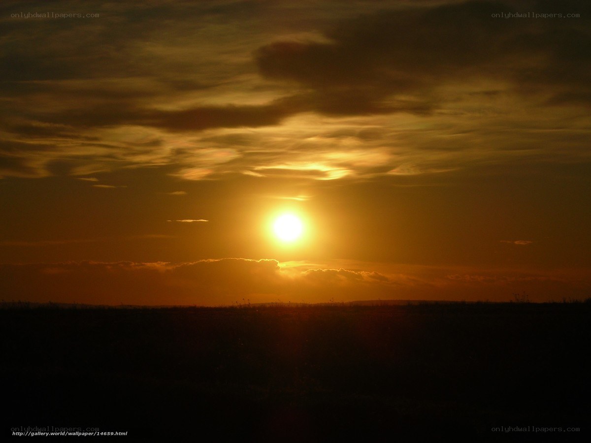 Sunset over the field
