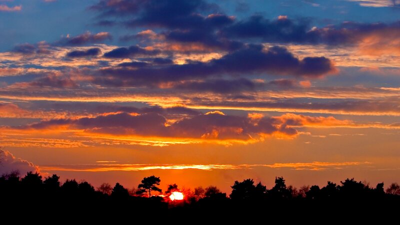 Sunset over the forest