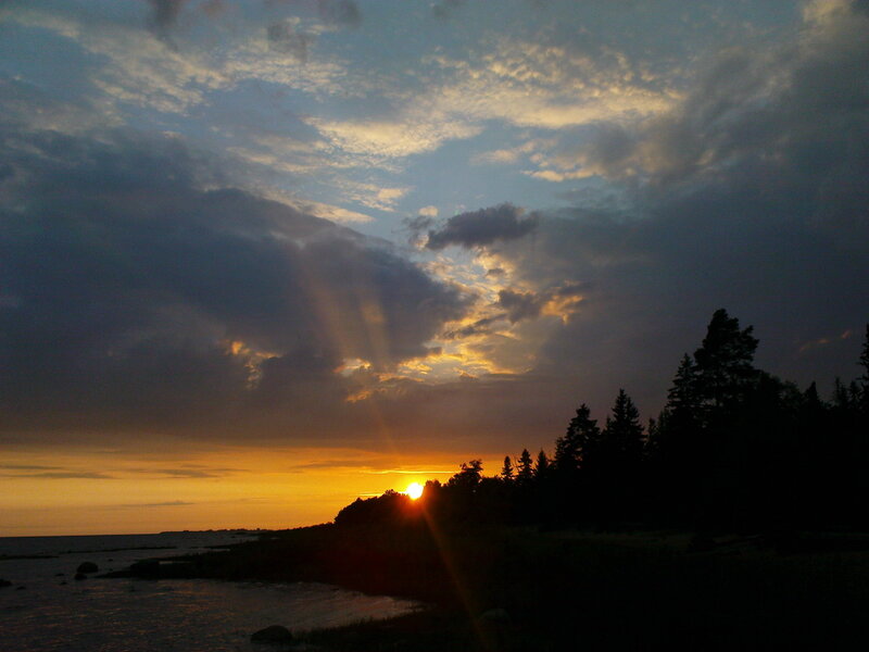 sunset over the forest