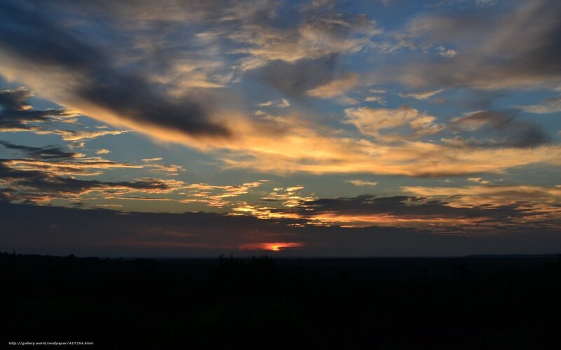 sunset over the forest