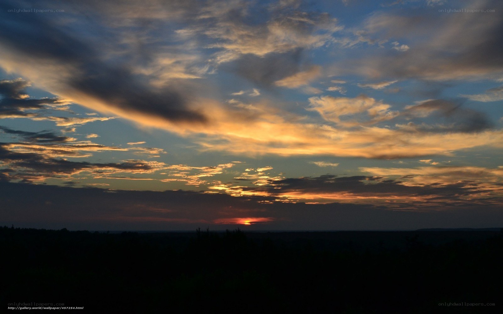sunset over the forest