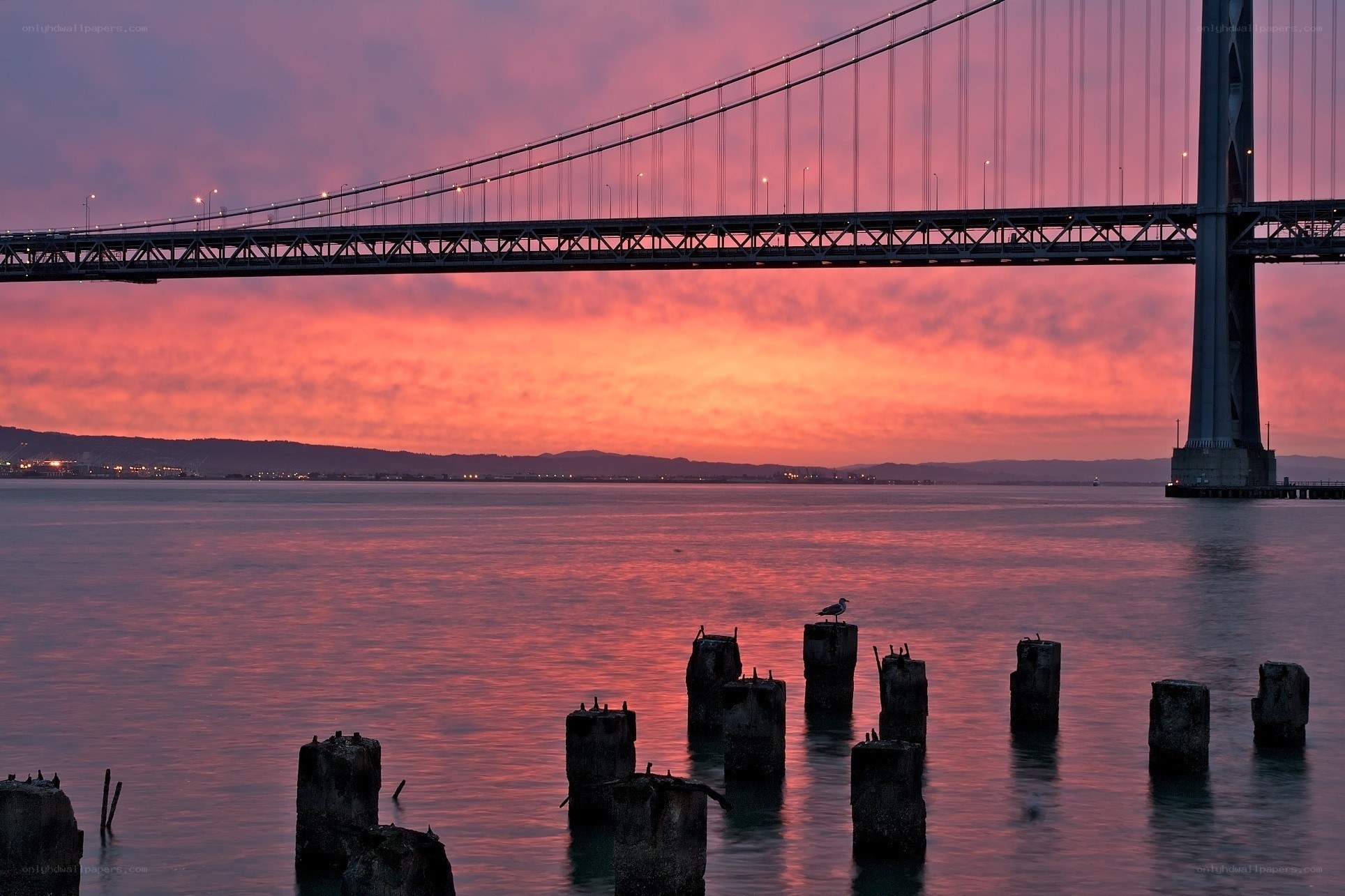 sunset over the golden gate bridge