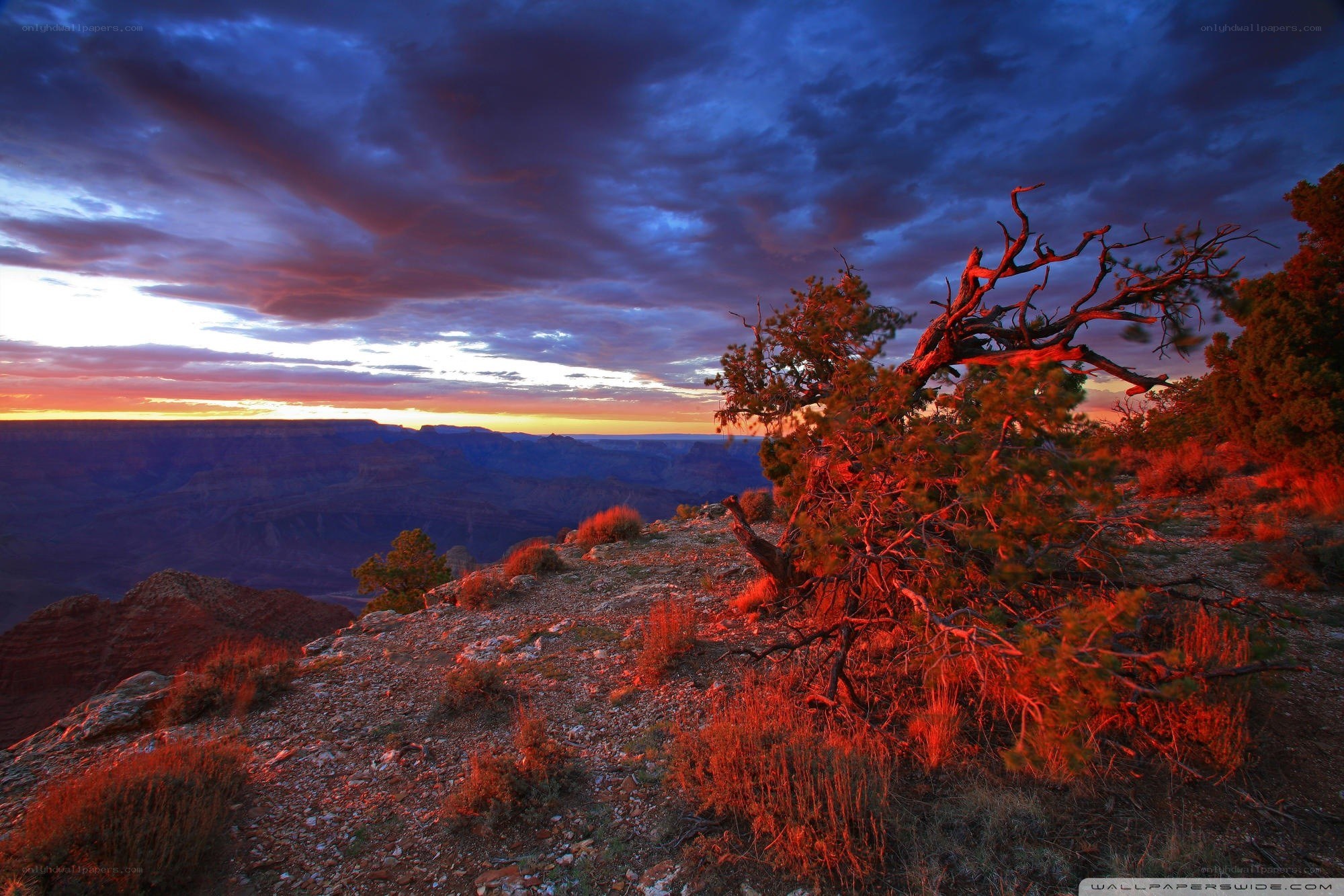 Sunset over the Grand Canyon