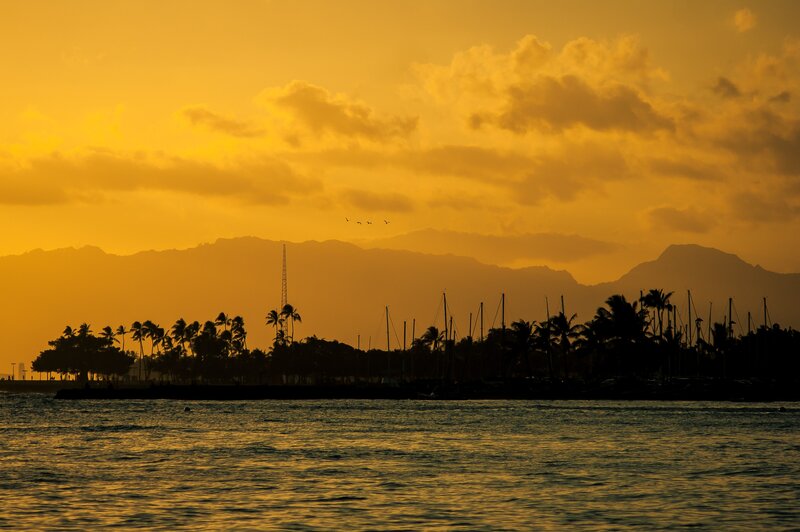 sunset over the harbor