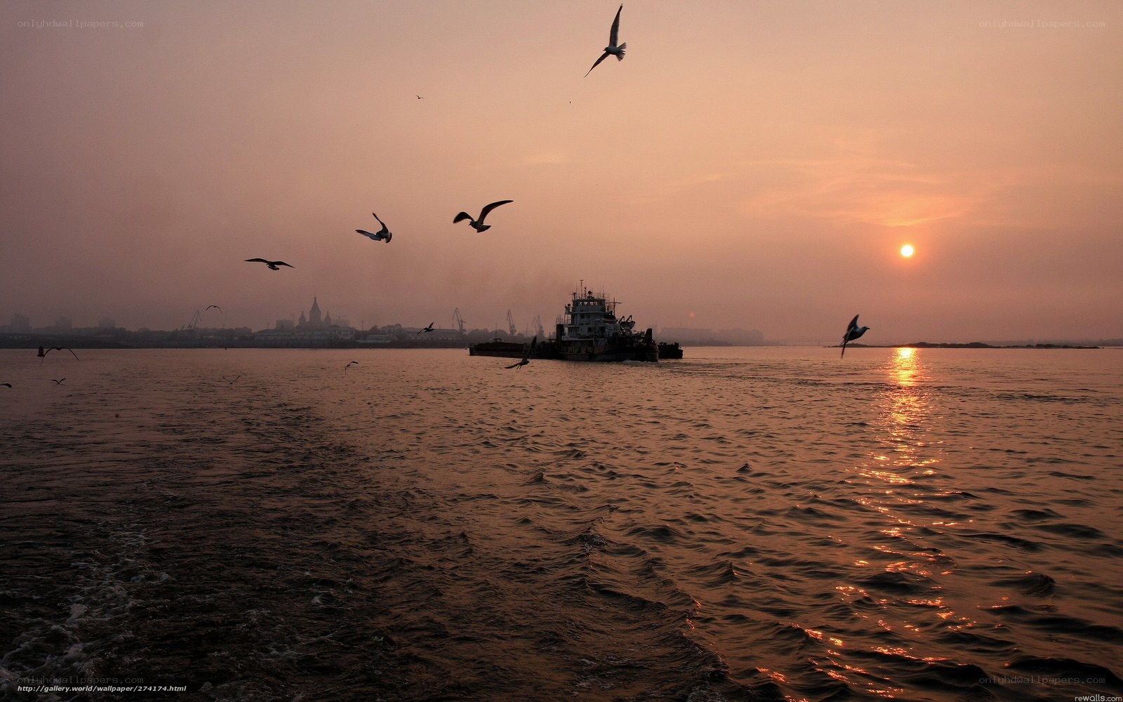 Sunset over the harbor with birds