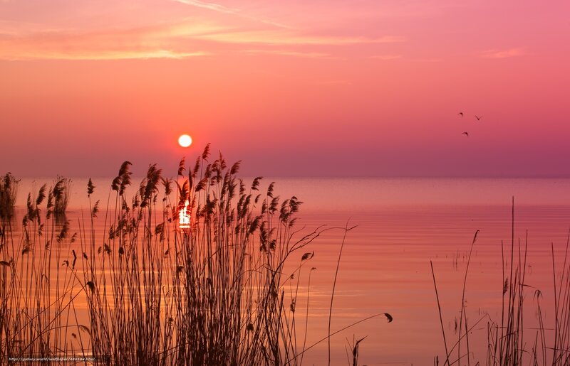 Sunset over the lake