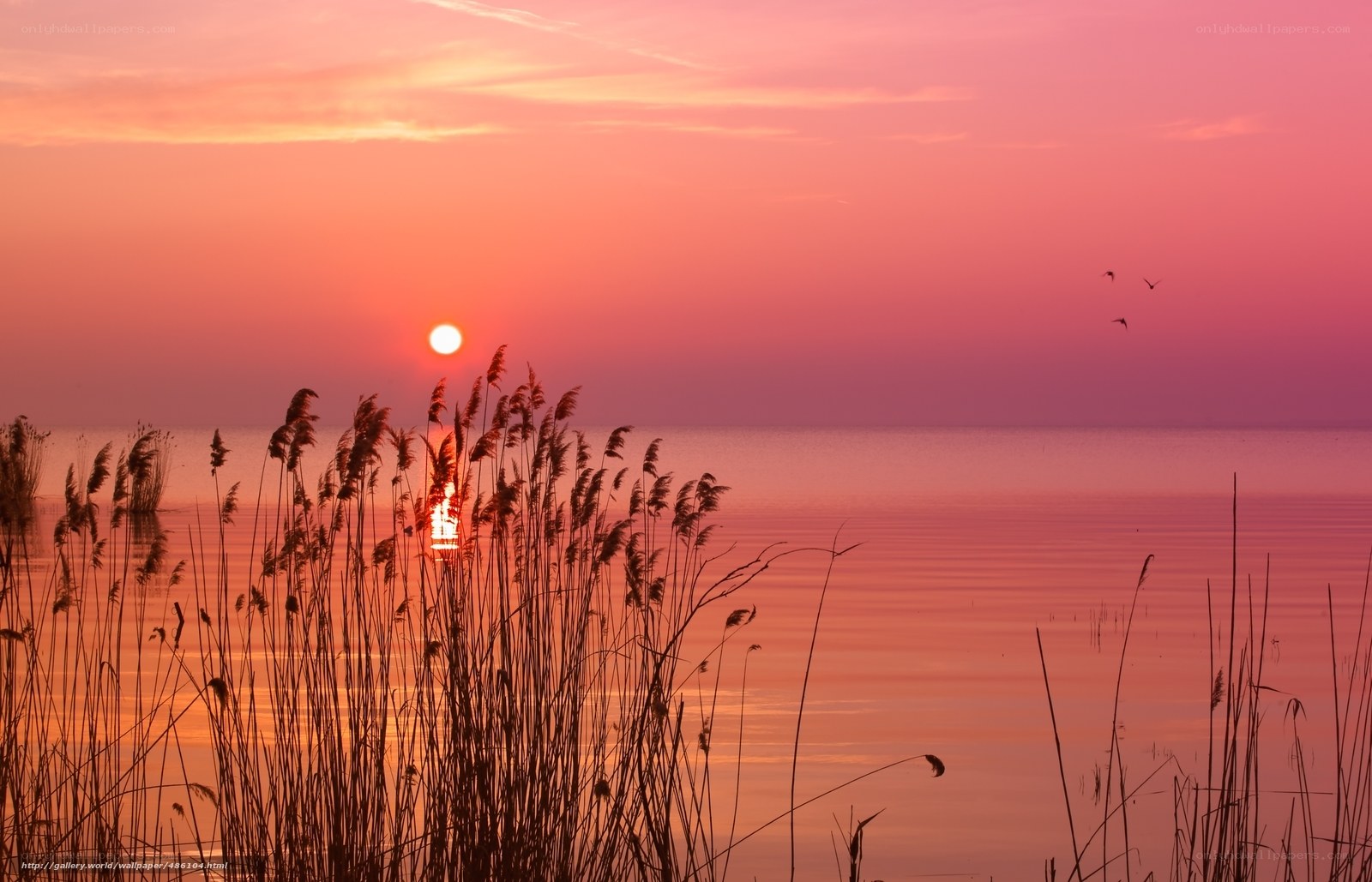 Sunset over the lake
