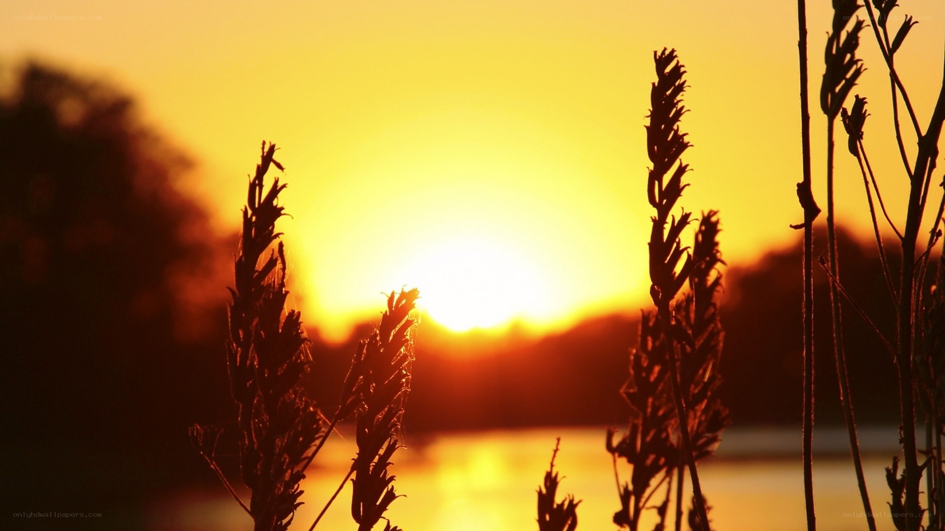 Sunset over the lake