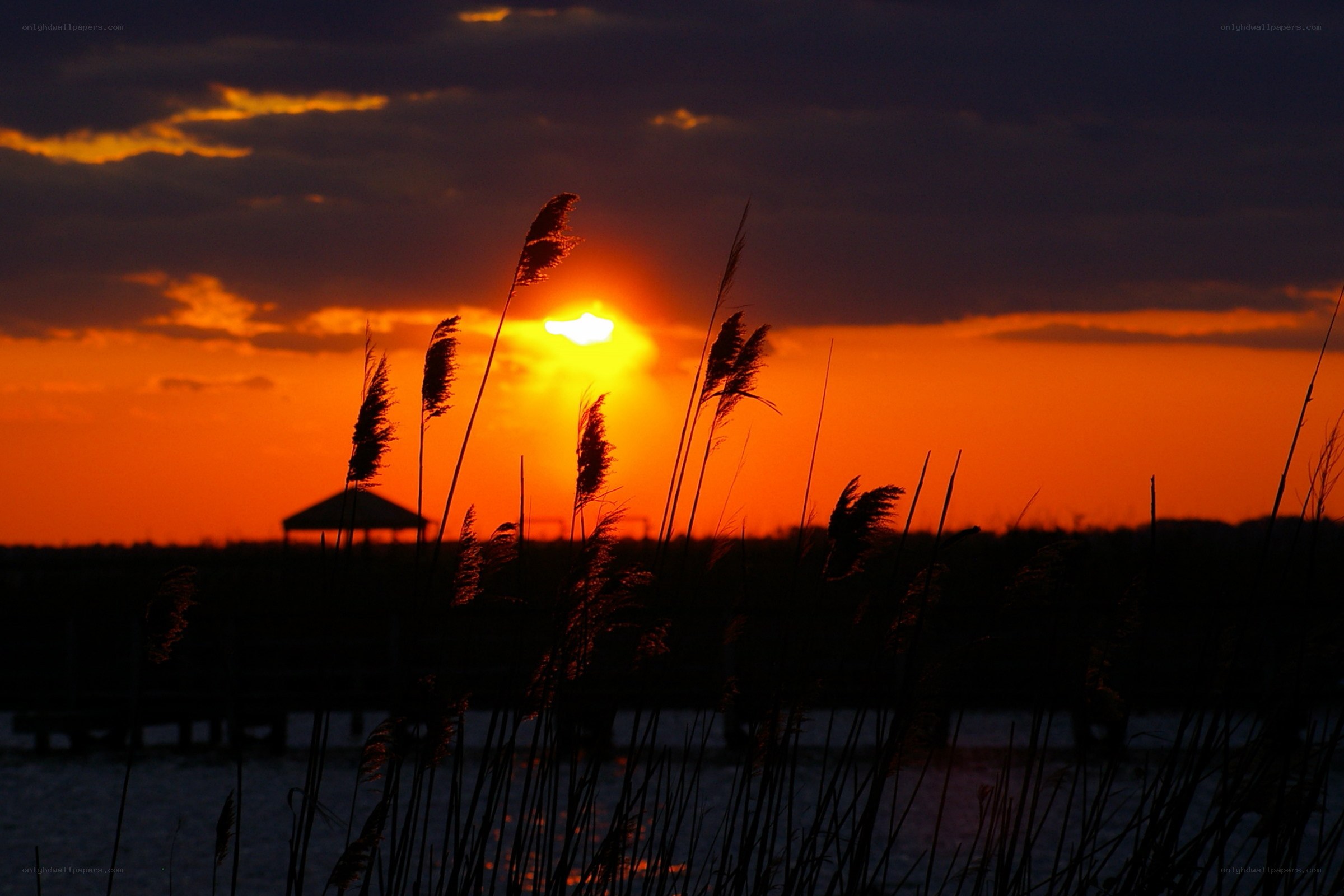 Sunset over the marsh