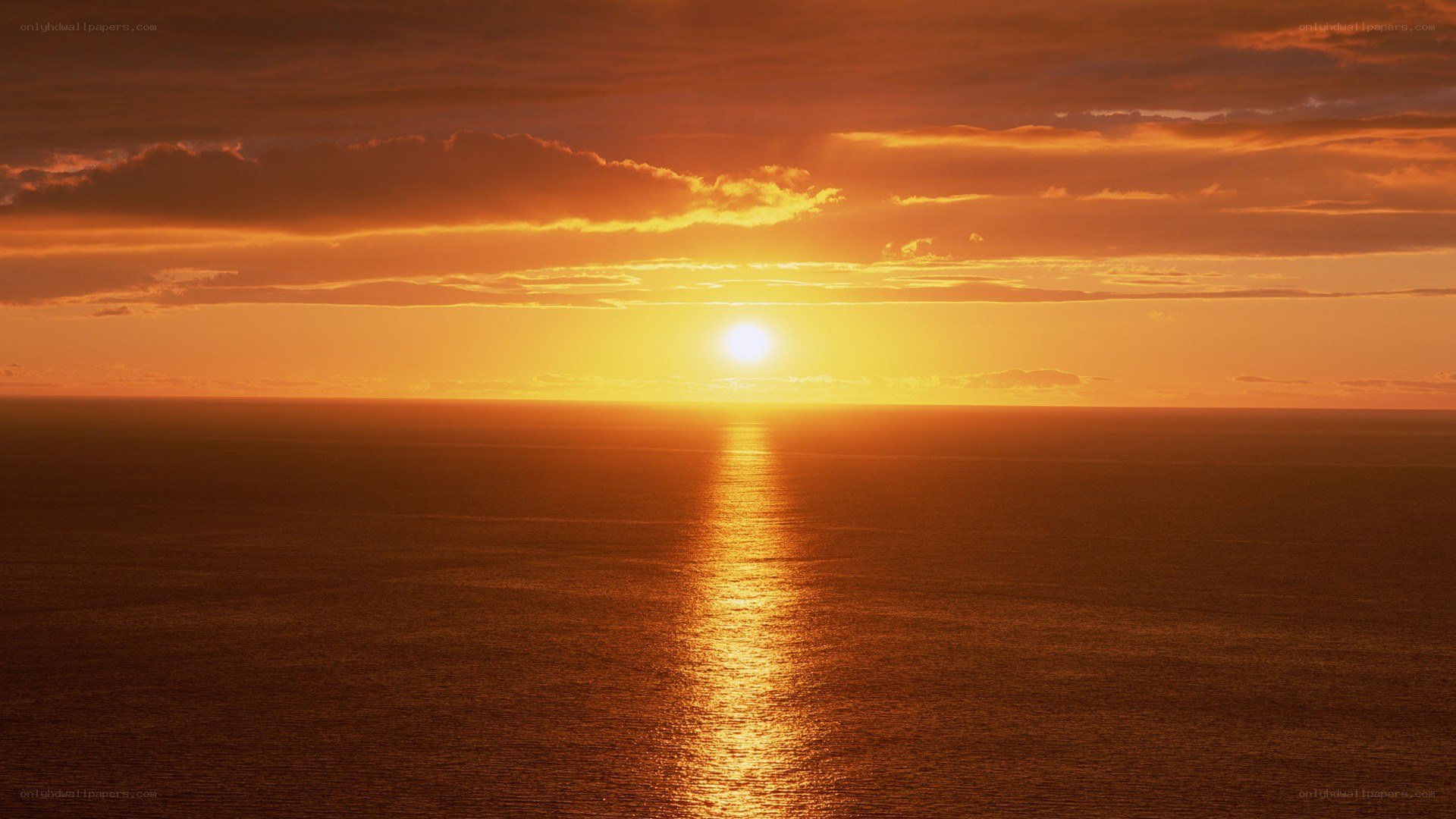 Sunset over the ocean