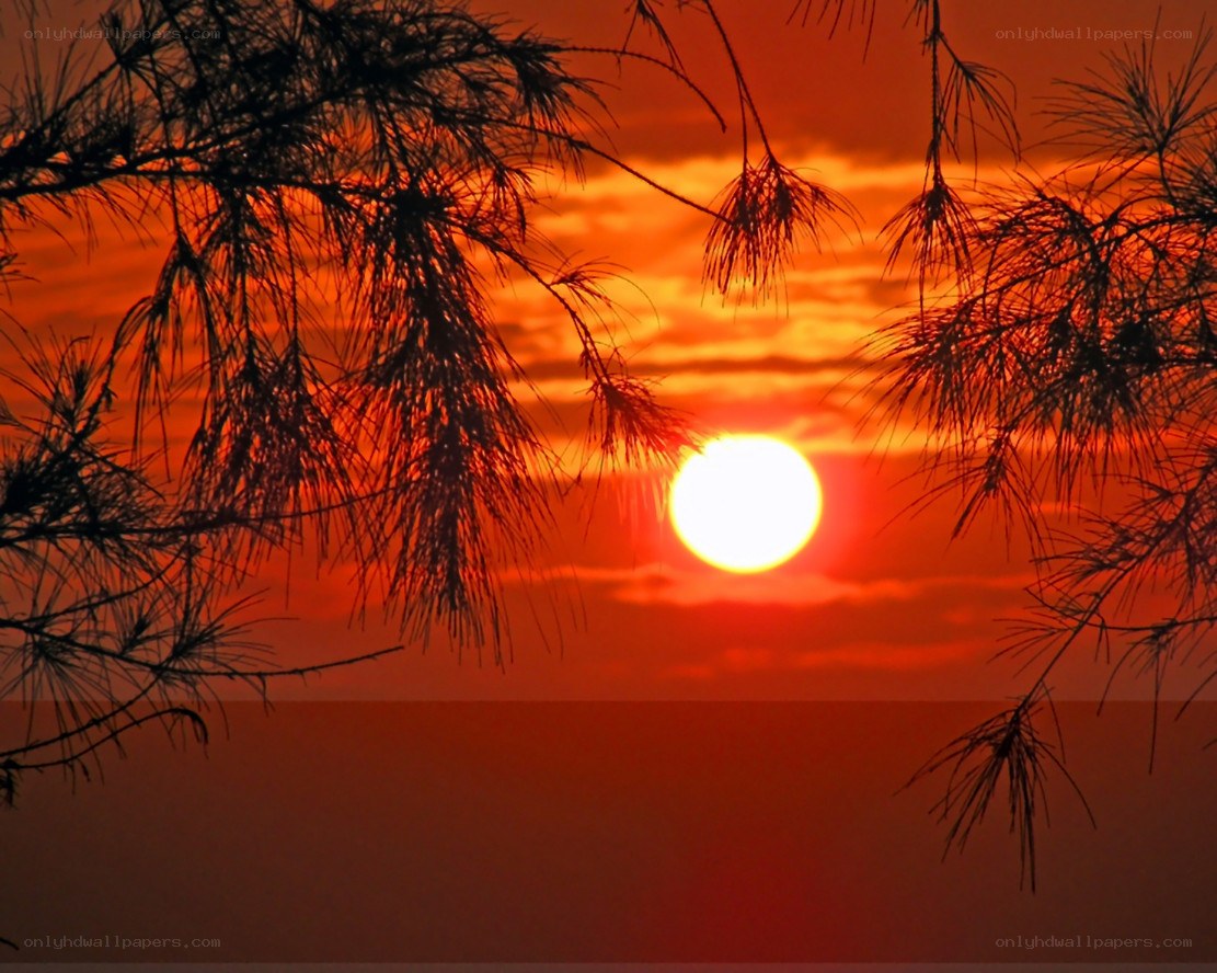 Sunset over the ocean