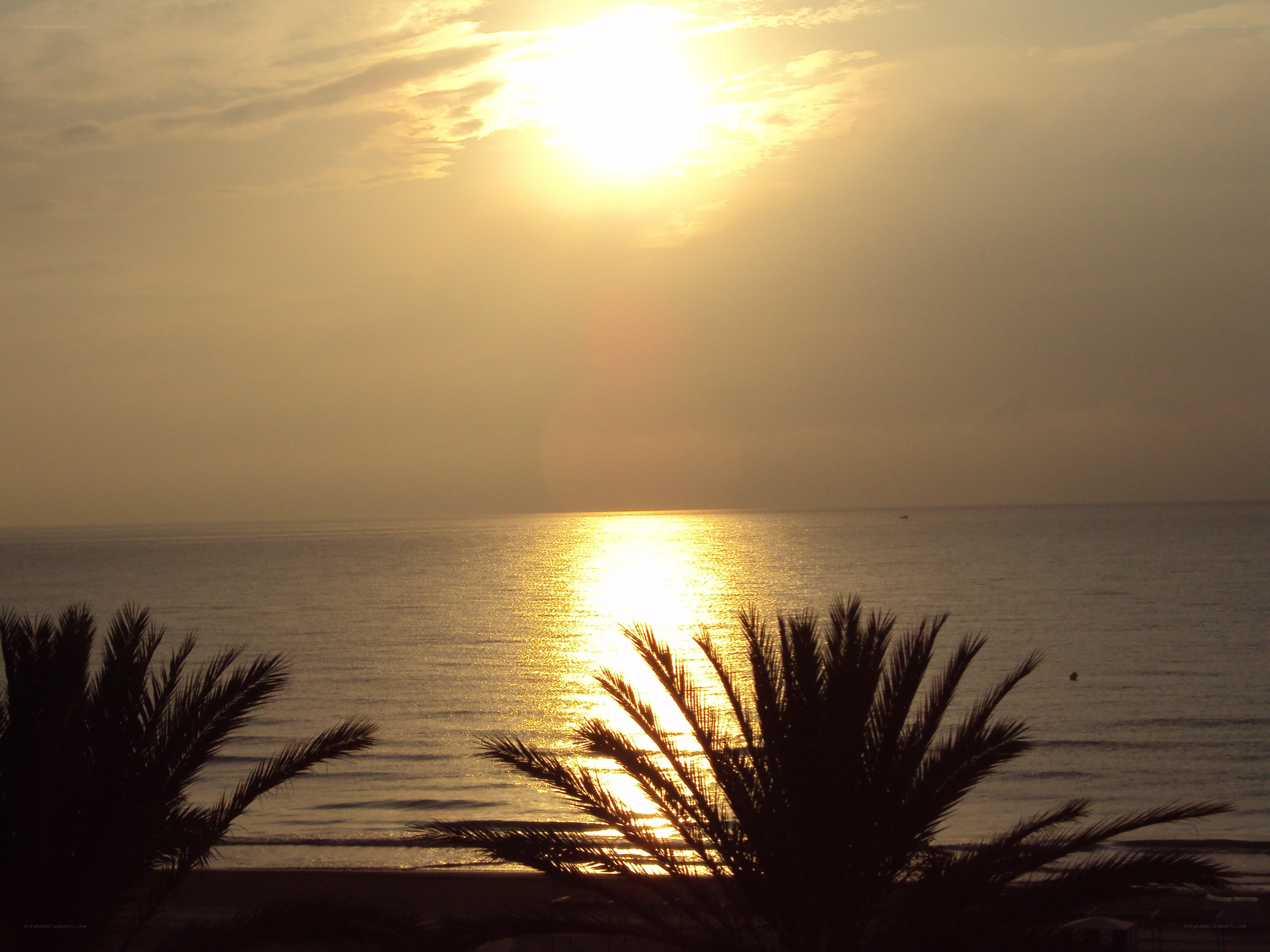 Sunset over the ocean