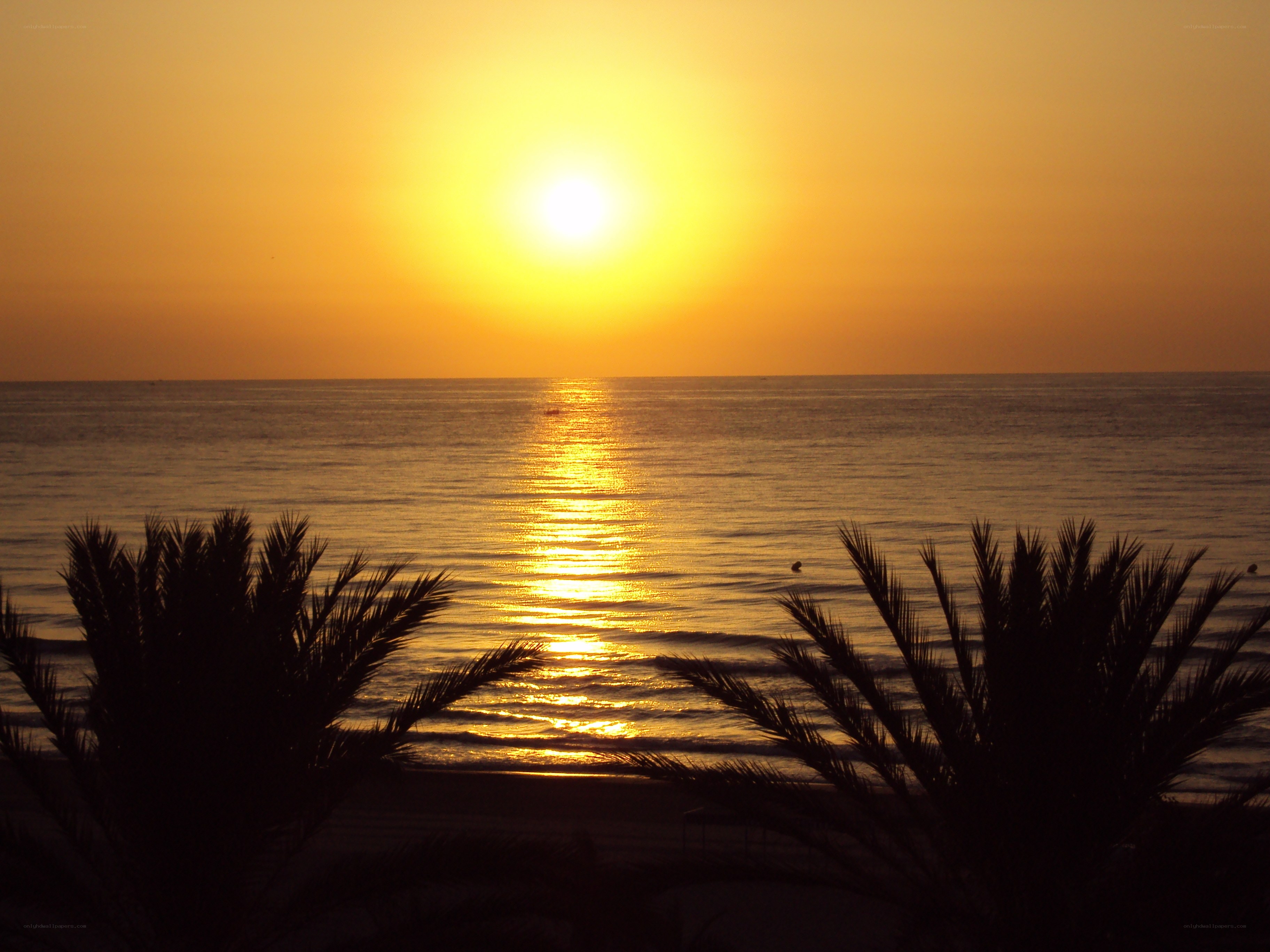 sunset over the ocean
