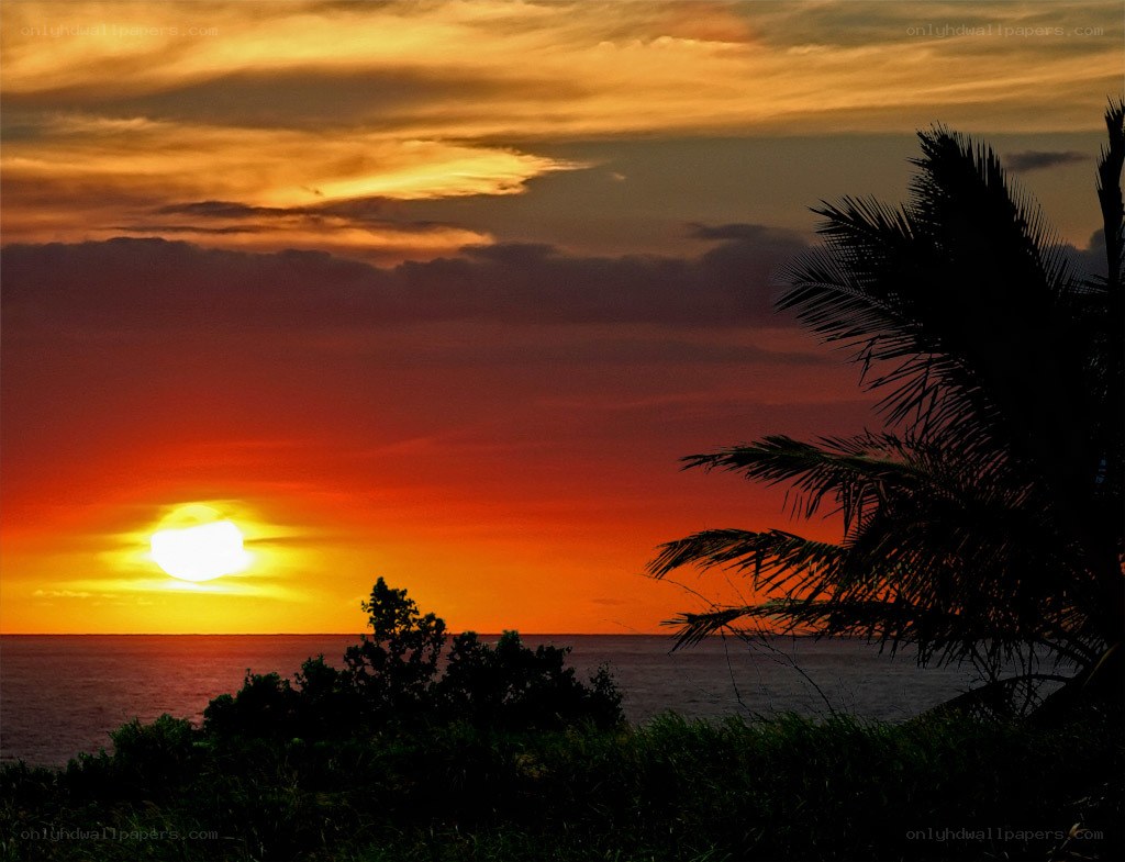 sunset over the ocean