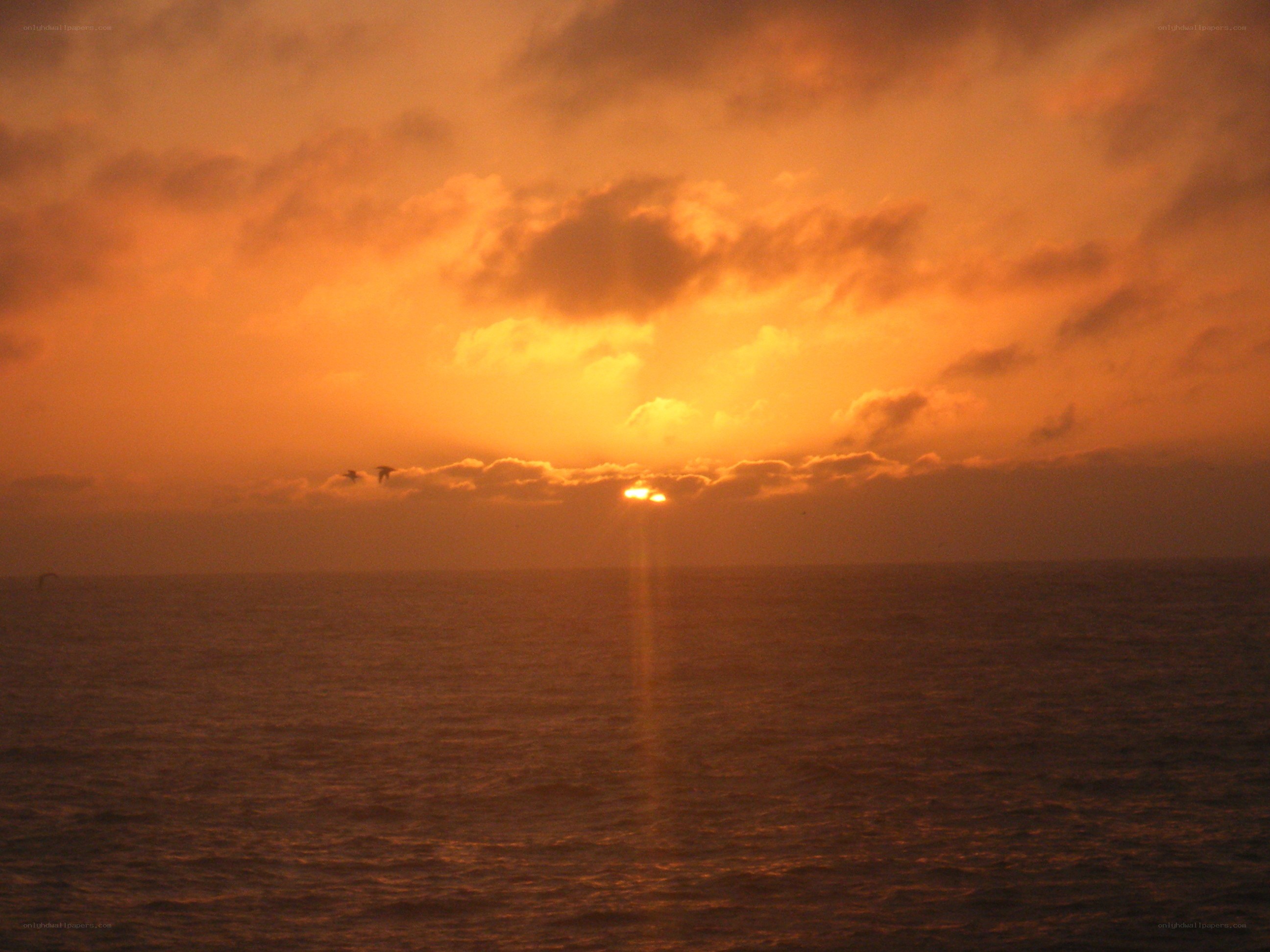 Sunset over the ocean