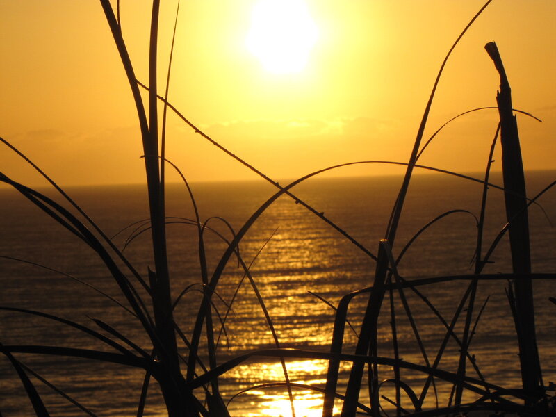 Sunset over the ocean