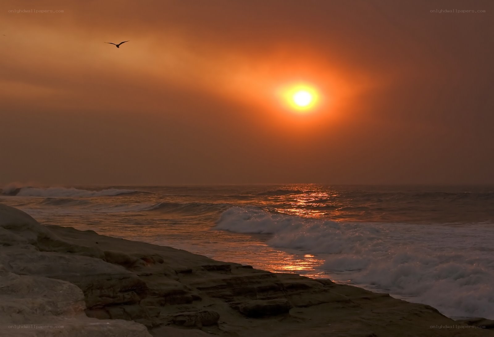 Sunset over the ocean