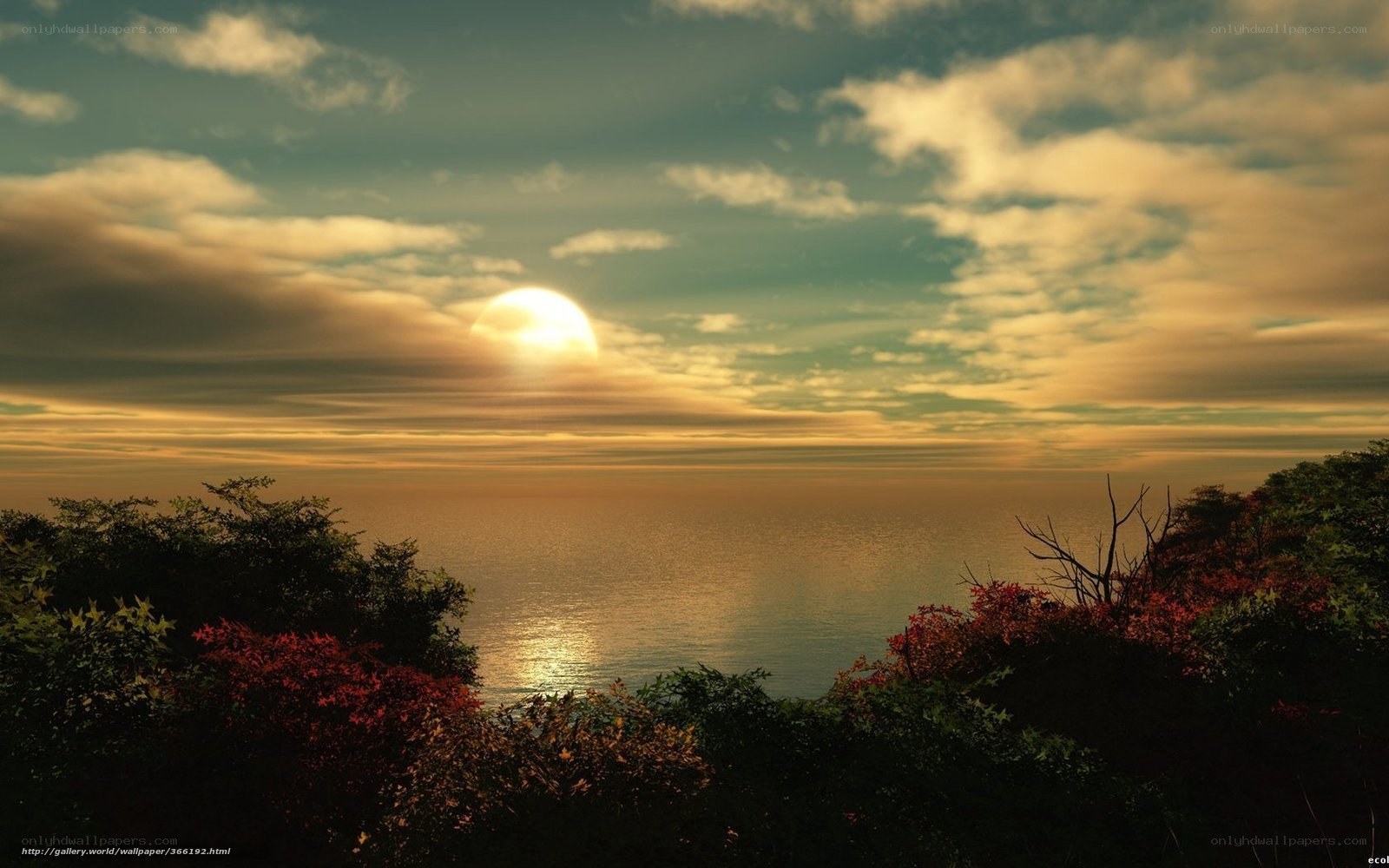 Sunset over the ocean