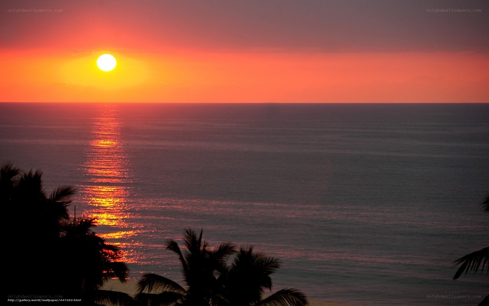 sunset over the ocean