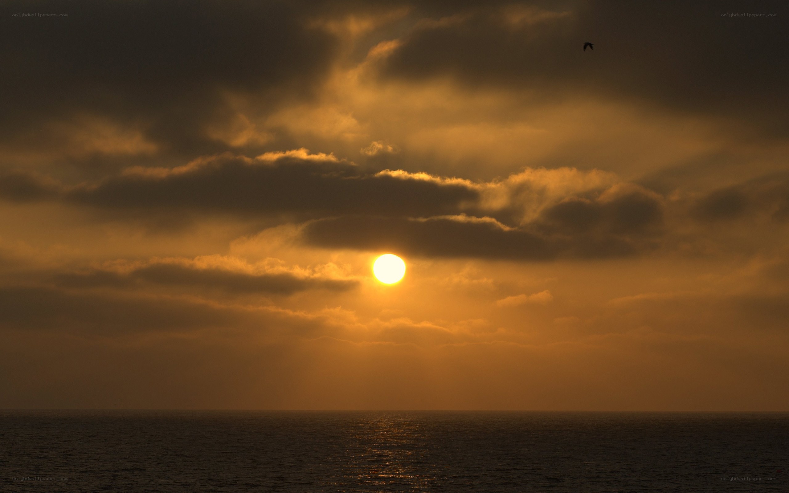 Sunset over the ocean