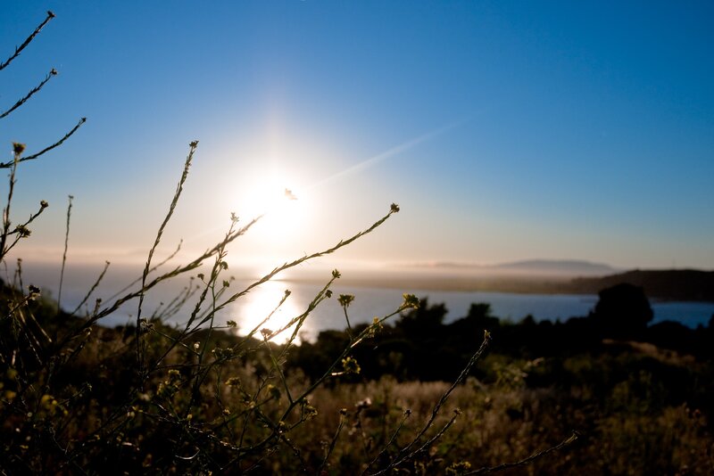 Sunset over the ocean