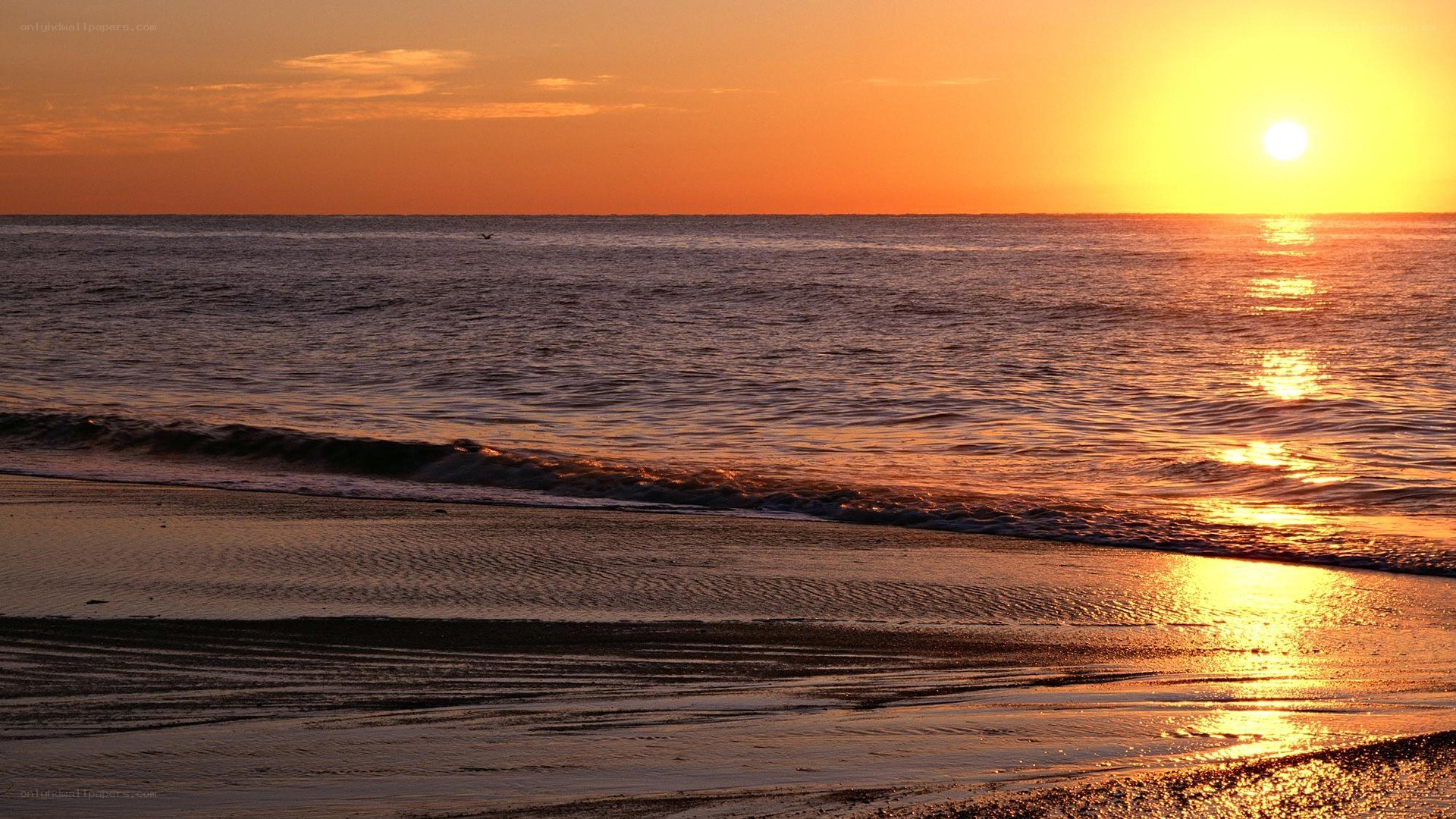 sunset over the ocean