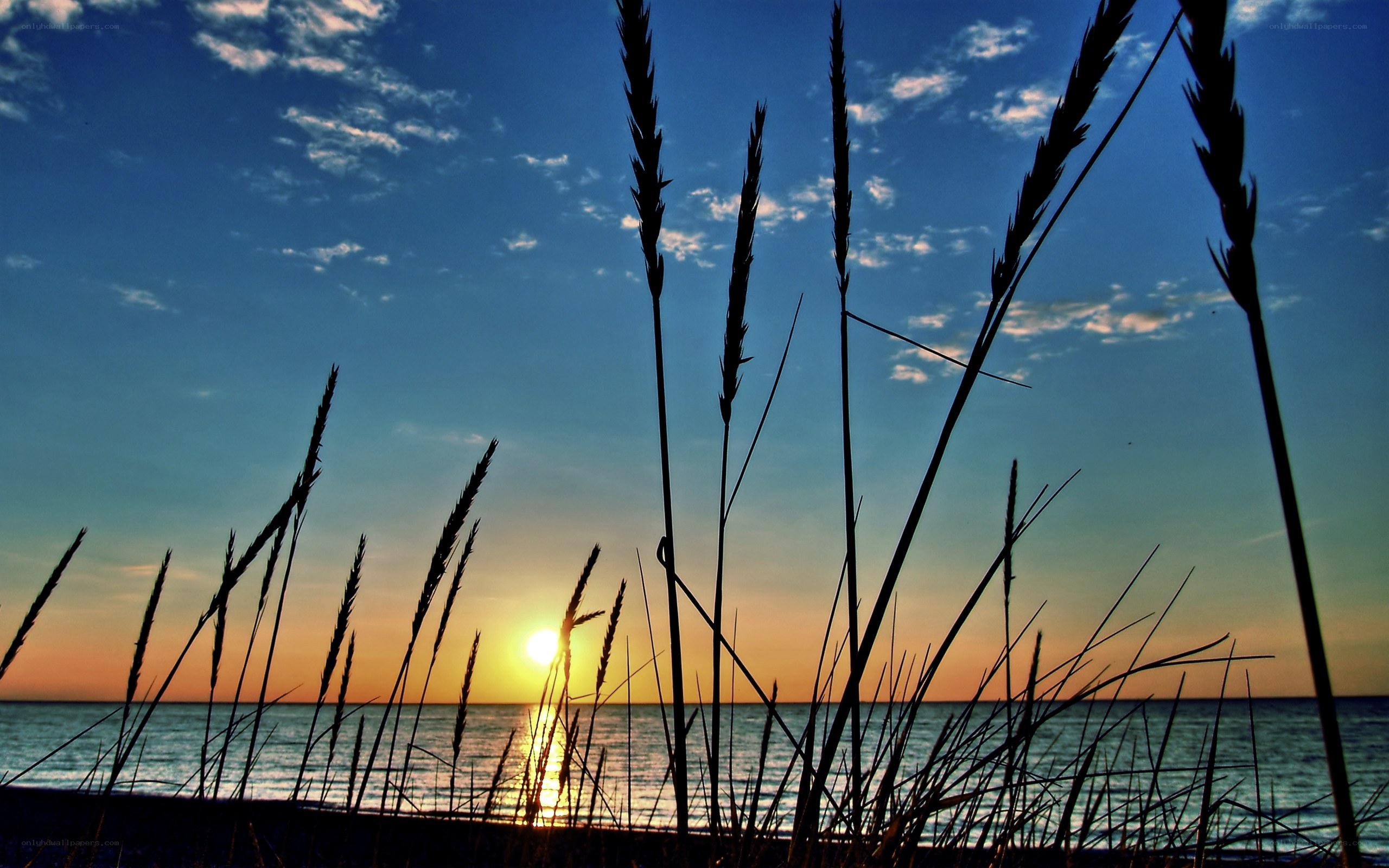 Sunset over the ocean
