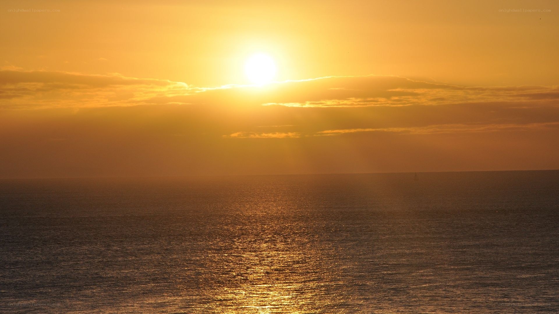 Sunset over the ocean