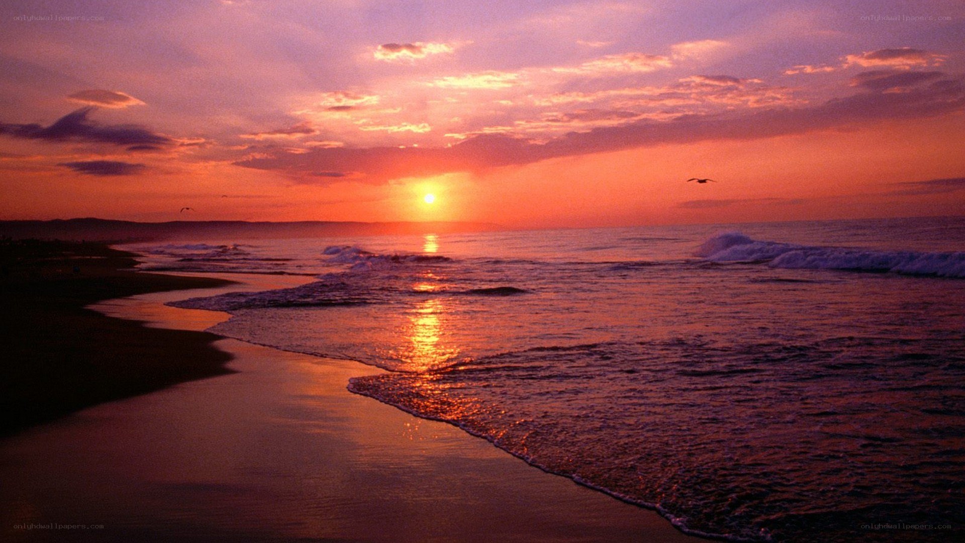sunset over the ocean