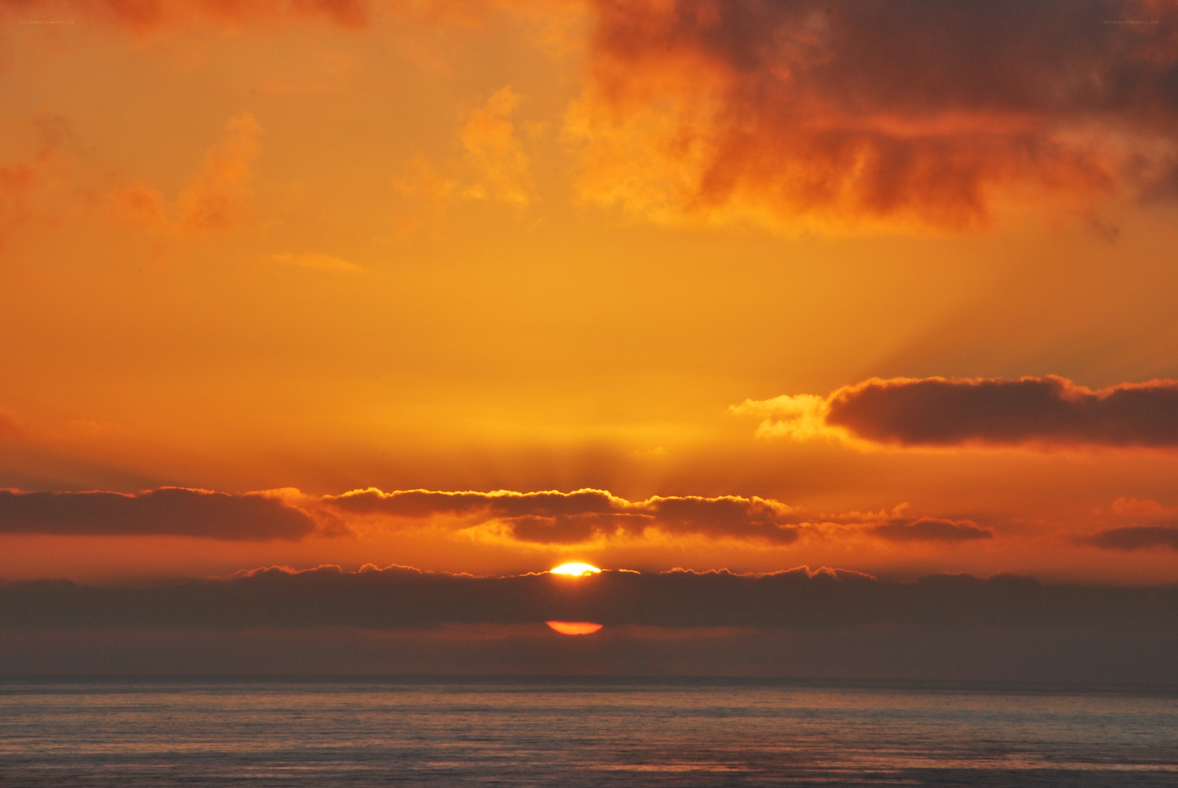 Sunset over the ocean