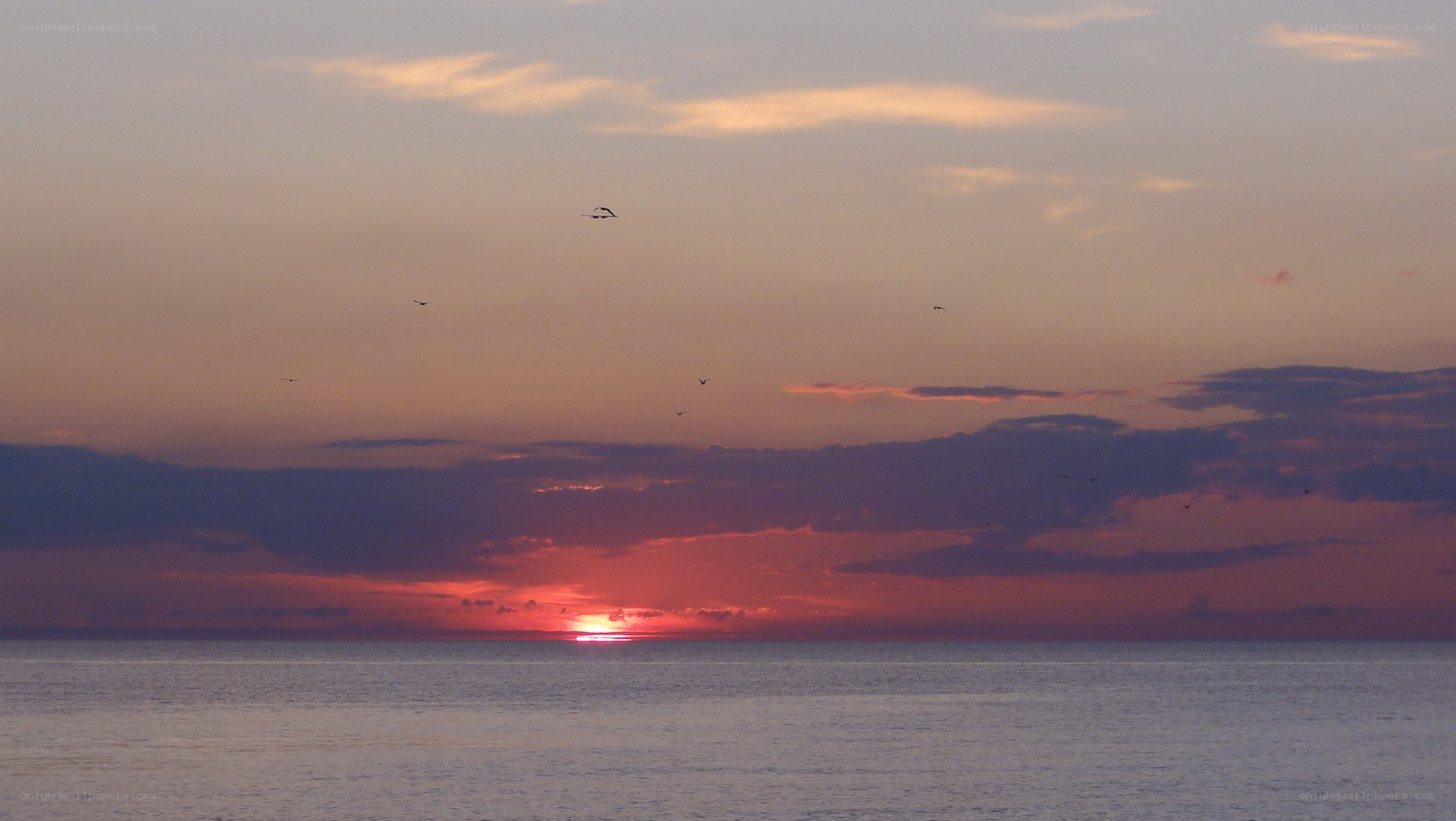 sunset over the ocean