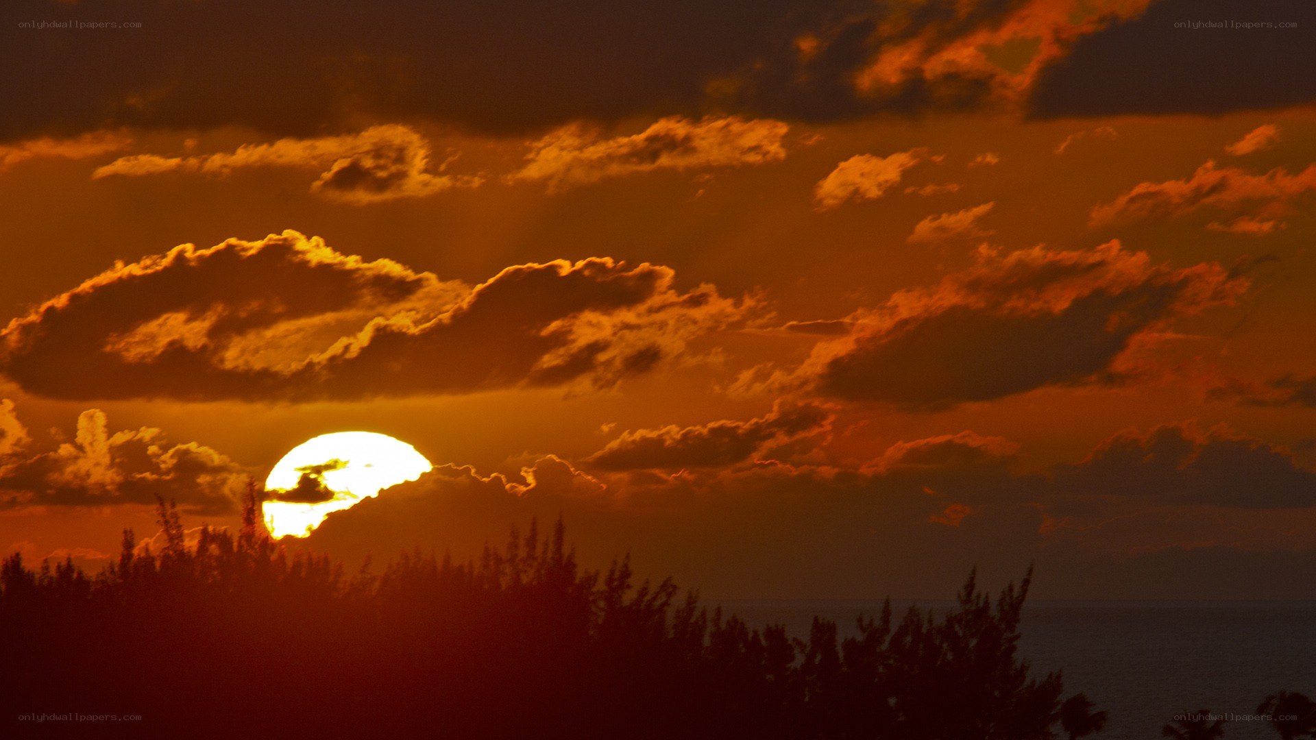 sunset over the ocean