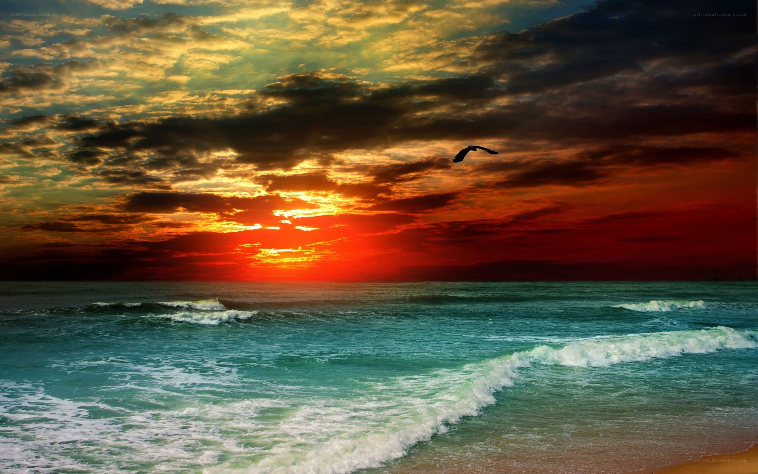 Sunset over the ocean