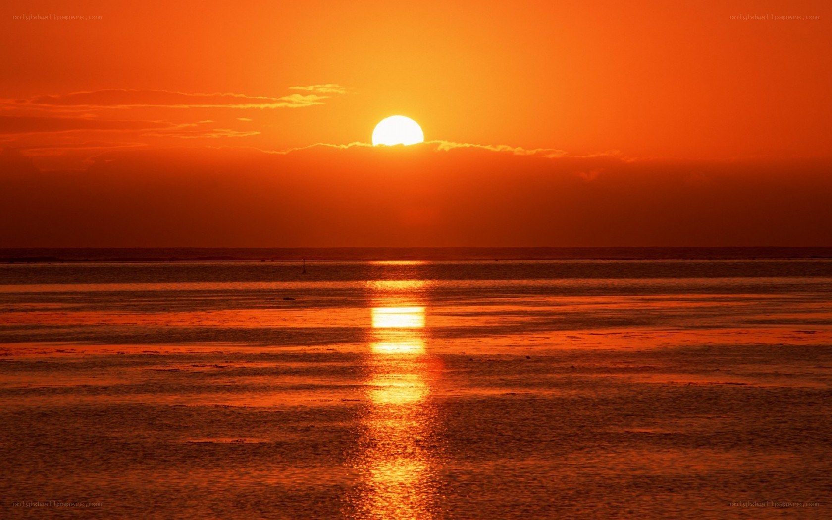 Sunset over the ocean