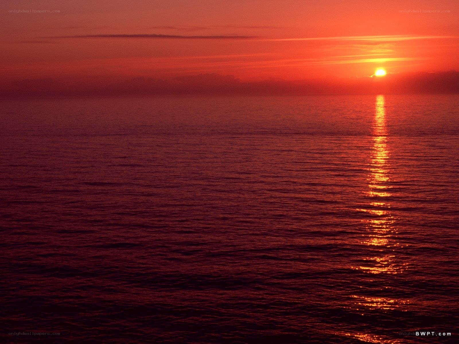 Sunset over the ocean
