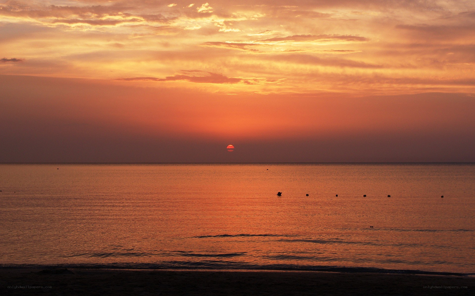 Sunset over the ocean
