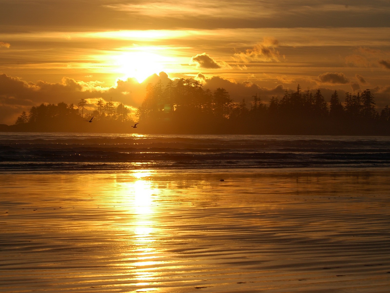 Sunset over the ocean beach