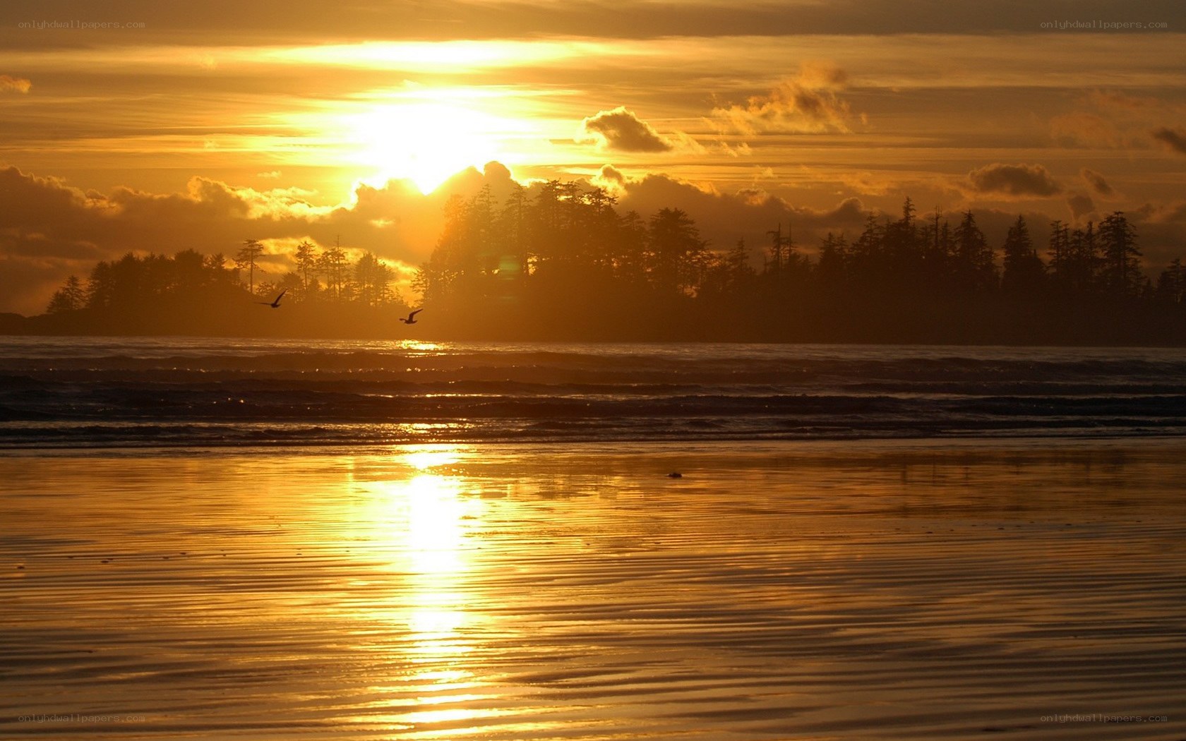 Sunset over the ocean beach
