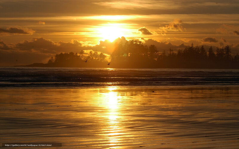 Sunset over the ocean beach