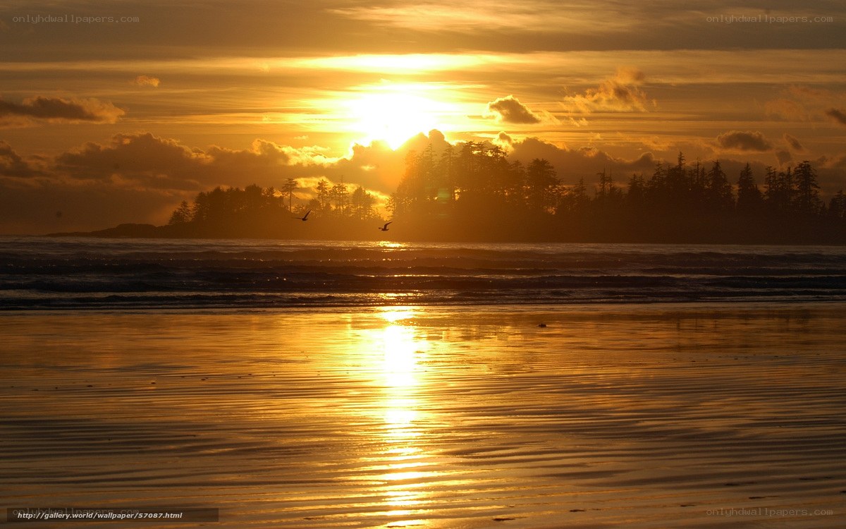 Sunset over the ocean beach